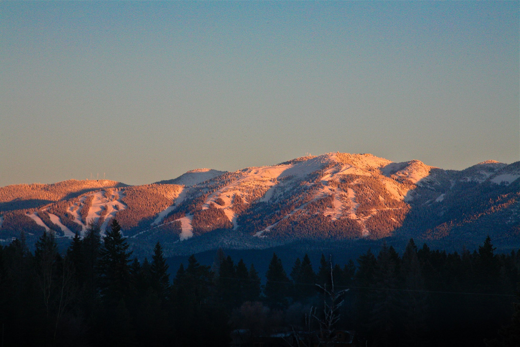 fall2008