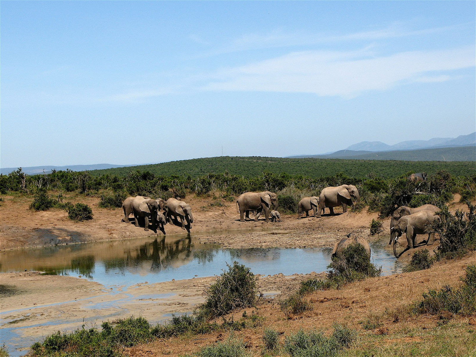 southafrica